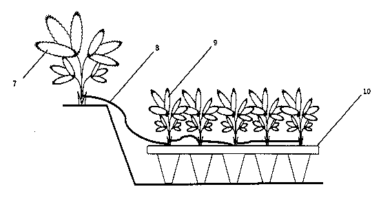 }4