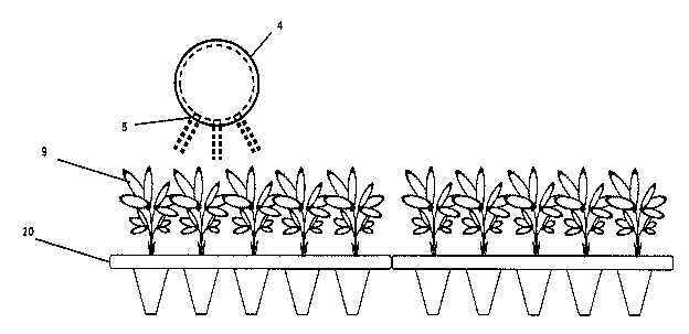 }6