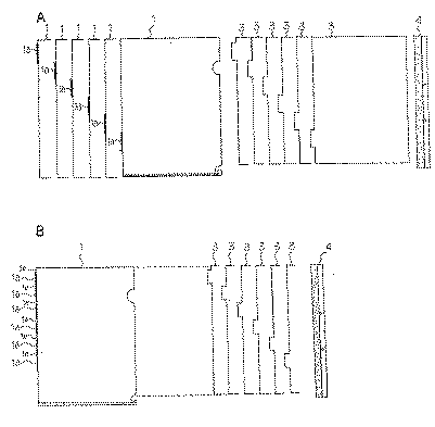 }13